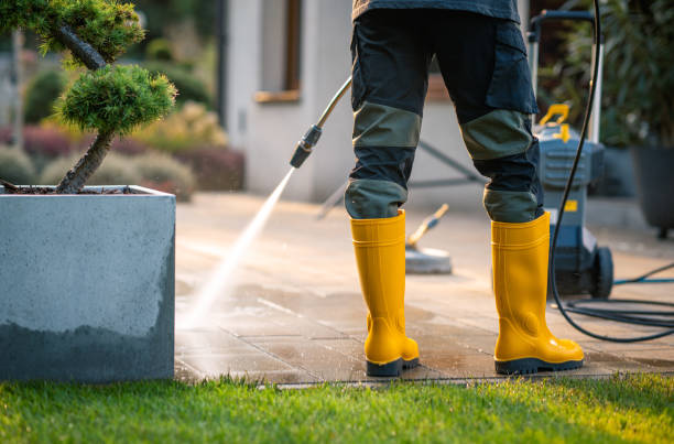Best Roof Pressure Washing  in Center Point, AL